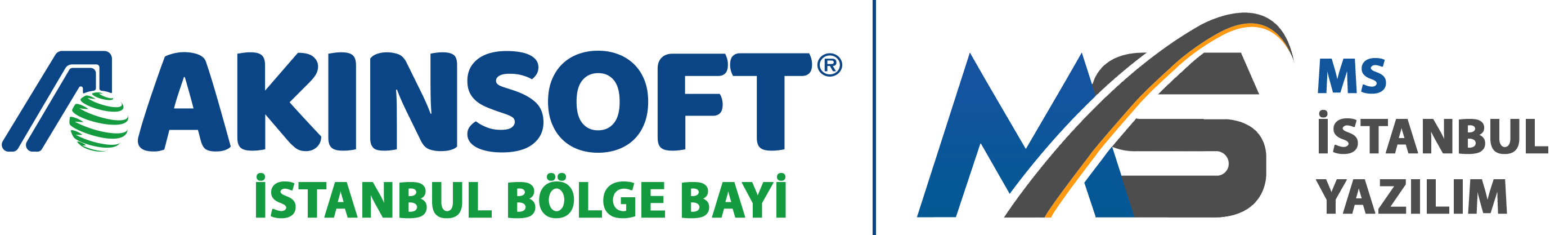 MS İstanbul Yazılım